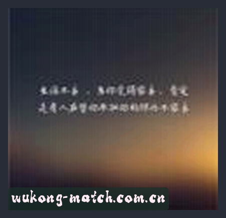赵敏